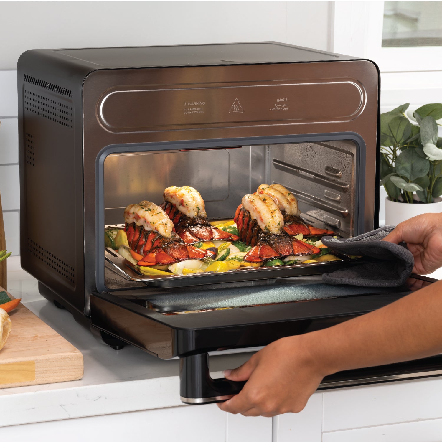 Steami, Steam + Air Fryer Oven 24L – Nutricook
